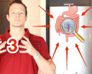 3 PODEROSAS DICAS PARA UMA FLORA INTESTINAL MAIS SAUDÁVEL