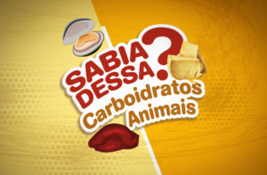 6 ÓTIMOS CARBOIDRATOS DE ORIGEM ANIMAL!