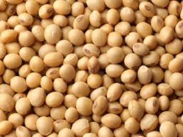 A Verdade Sobre A Soja Como Alimento Saudável