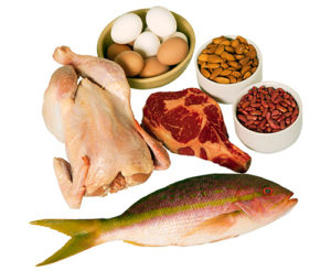 Mais Proteína? Menos Proteína? 3 Mitos Refutados.