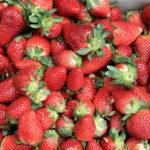 Morango é Uma Fruta Versátil e Útil Para Quem Deseja Emagrecer e Secar a Barriga