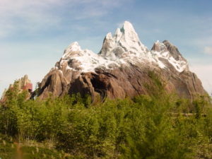 Qual Alimentação Te Dá Menos Fome e Mais Energia?