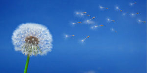 Quando Alguém Perde Peso, Para Onde Vai a Gordura Perdida?