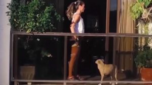 Quer Emagrecer Sem Sair de Casa? Veja Como é Simples!