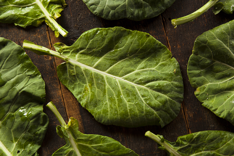 shutterstock_215313340 shutterstock_215313340