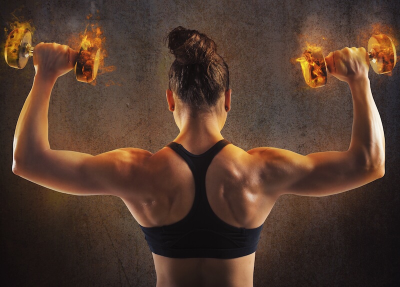 shutterstock_293088101-2