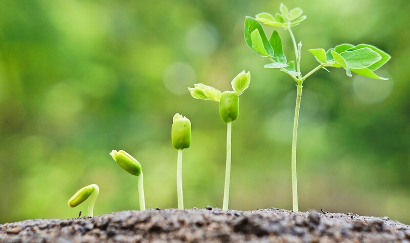 Como Perder Gordura (HIIT) 11