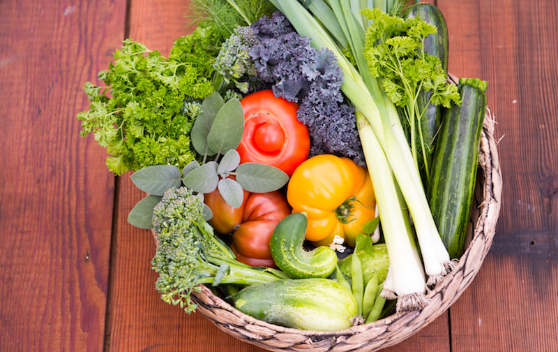 shutterstock_301089923-2 shutterstock_301089923-2