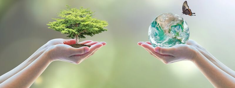 shutterstock_427195957-2 dietapaleo7